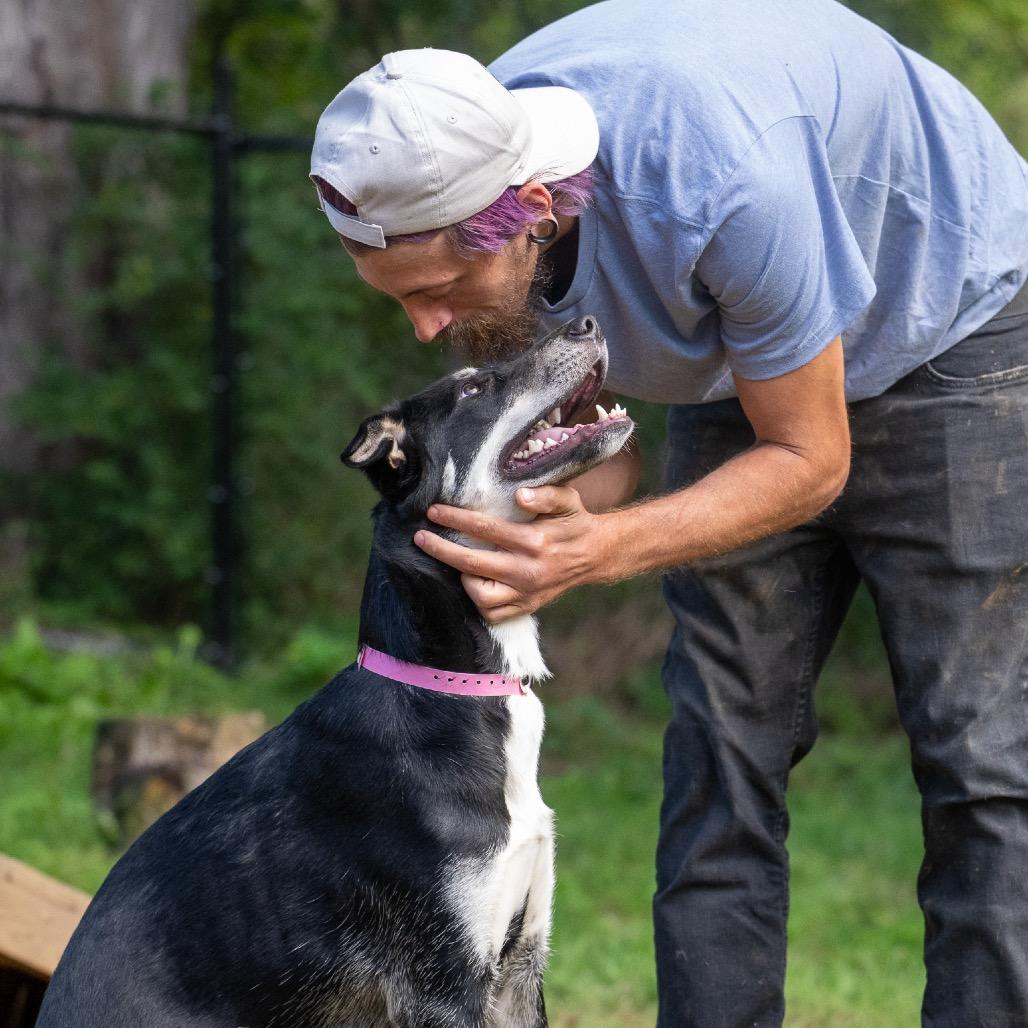 Rosemary 