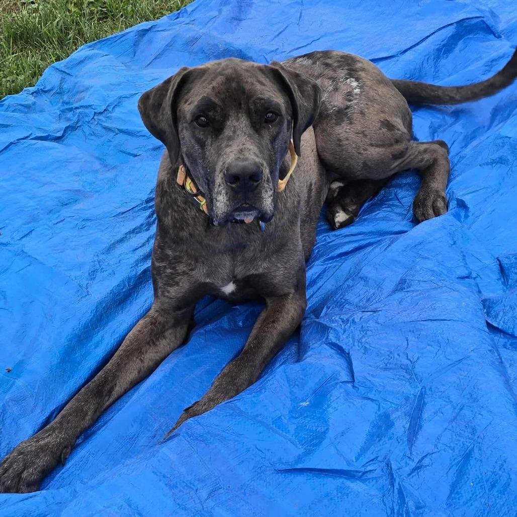 Zeus