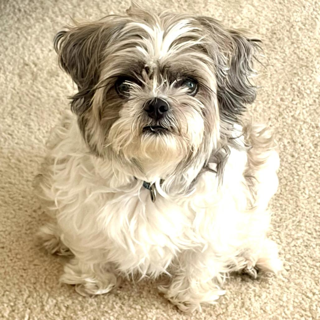 Max