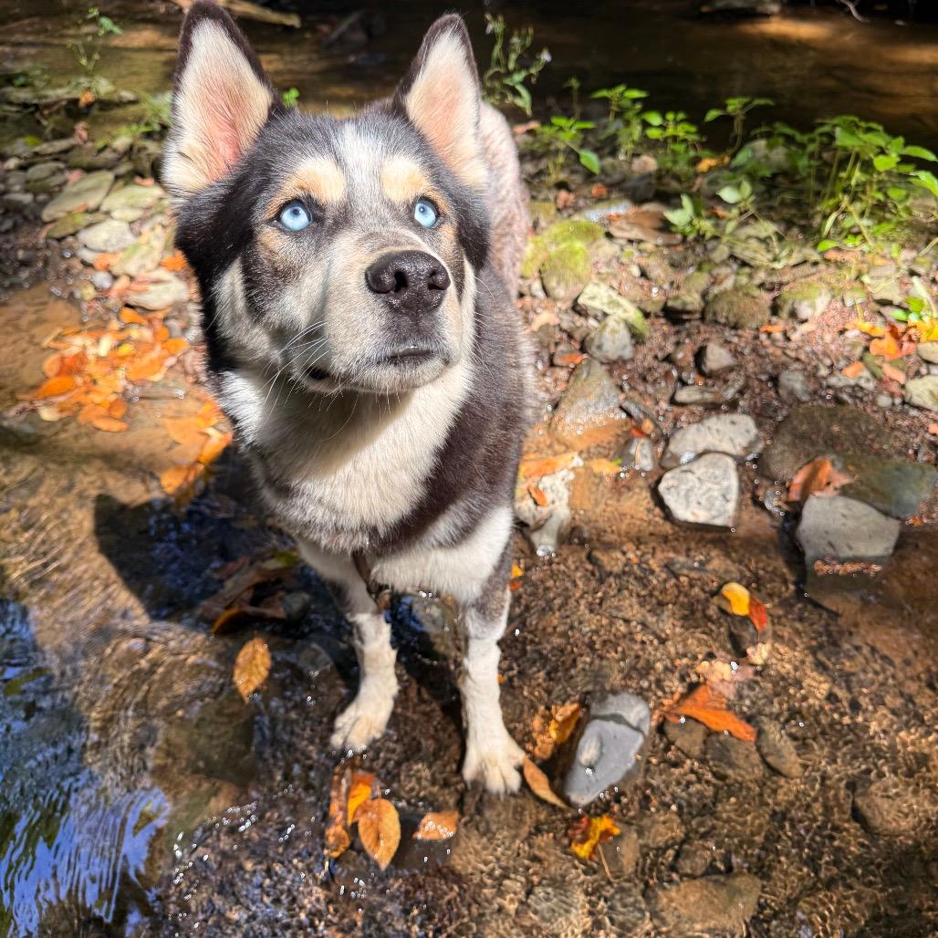 Luca