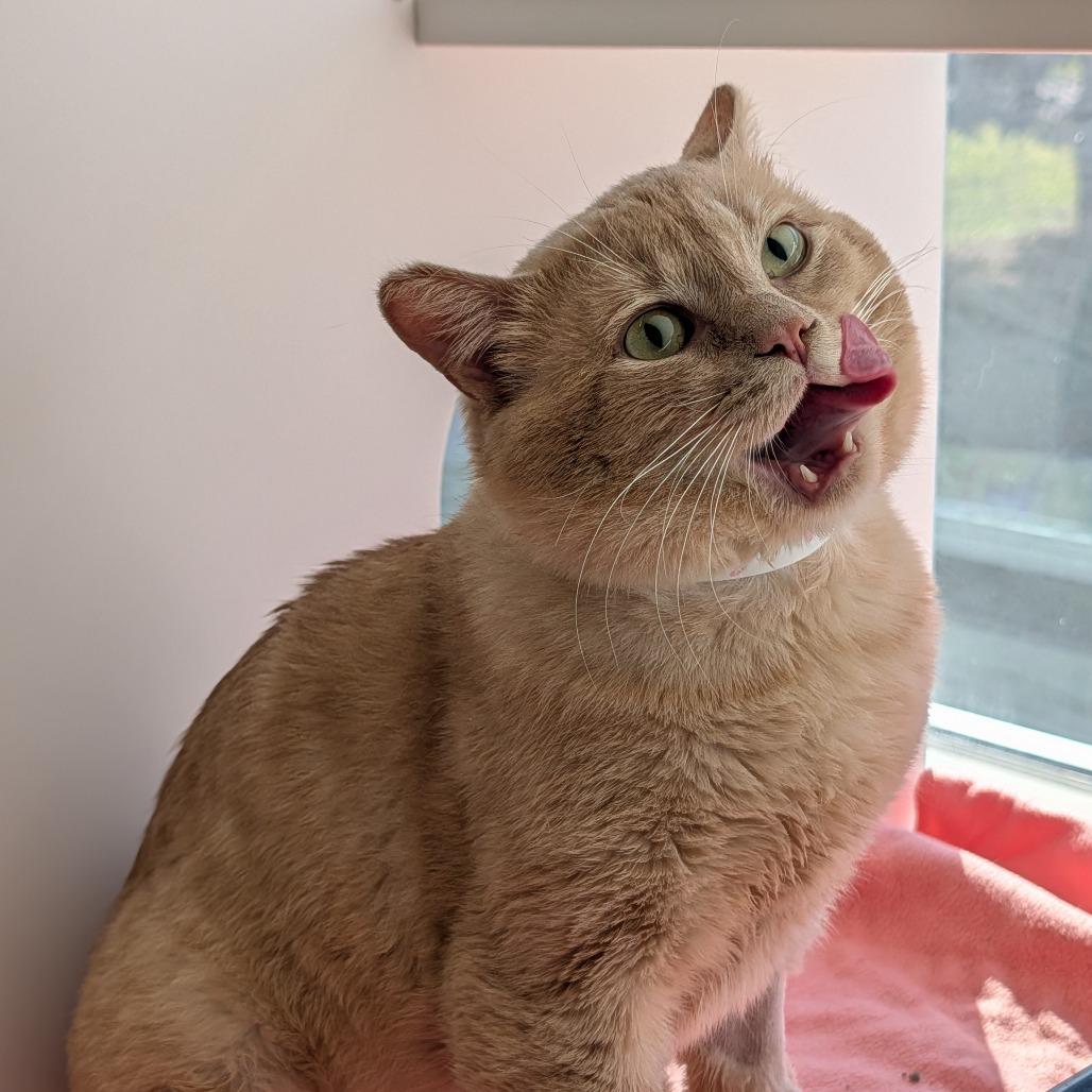 Binky