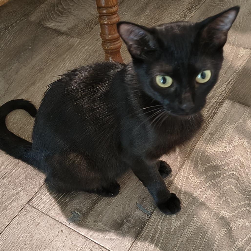 Sabrina