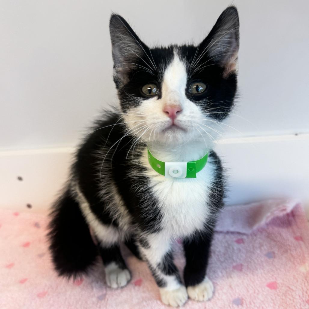 Tux