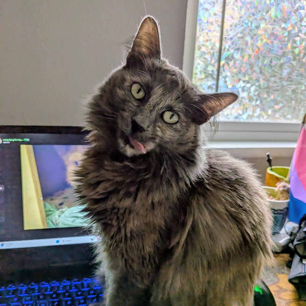 Abby 