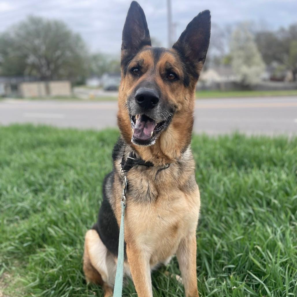 Roscoe