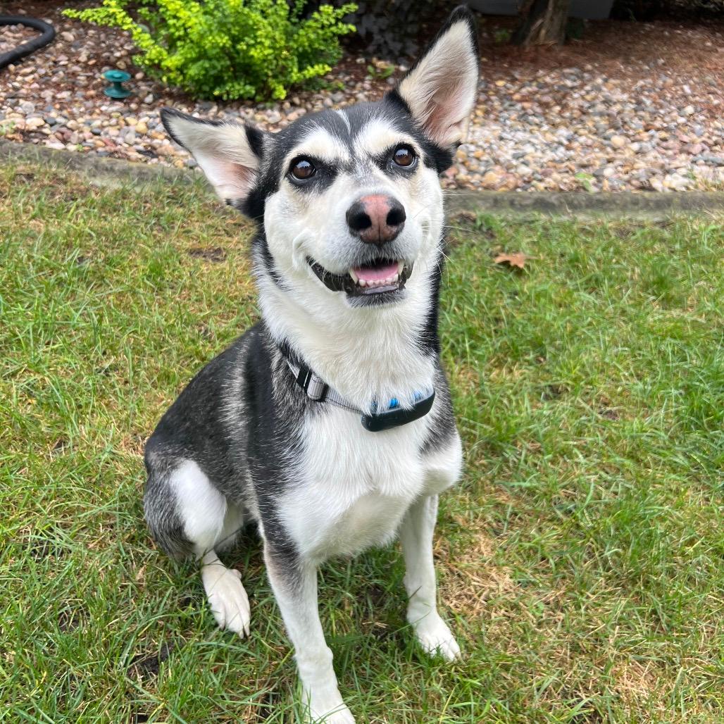 Kaya