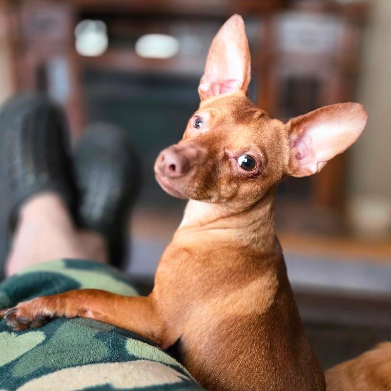 Milo