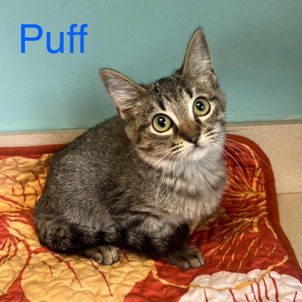 Puff