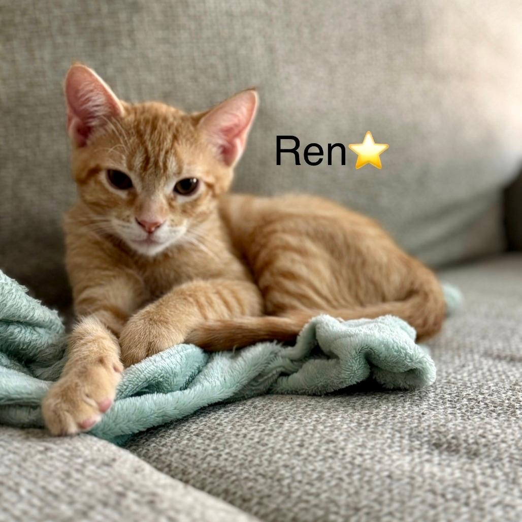 Ren