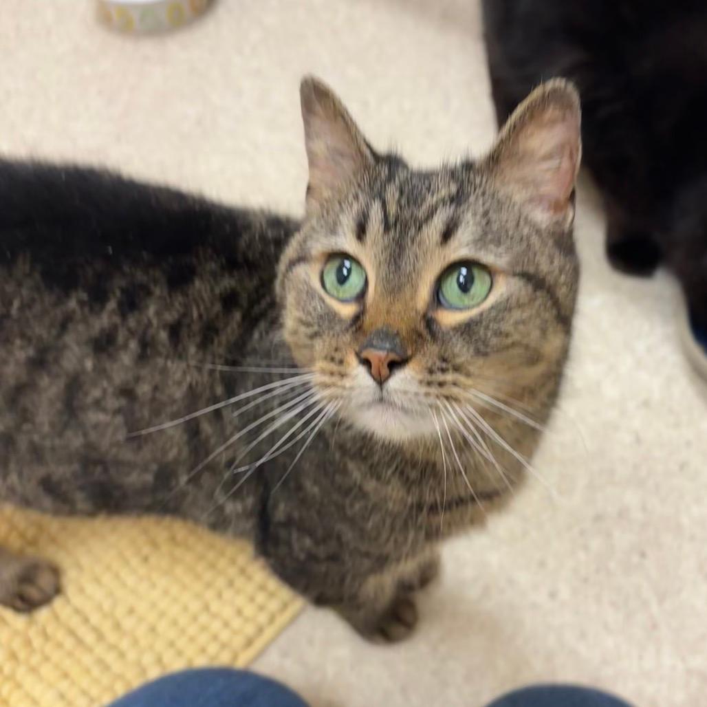 Baley- In Foster