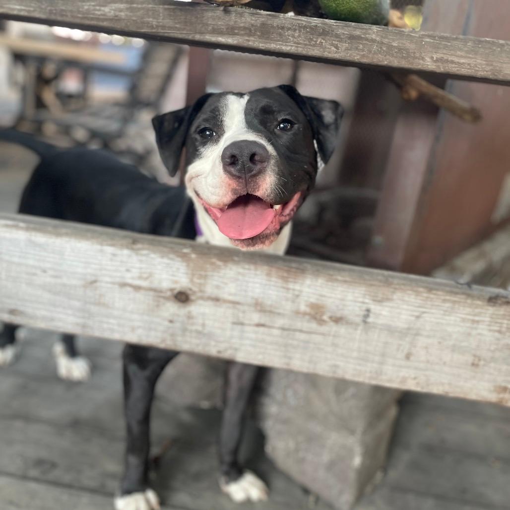 Lenny