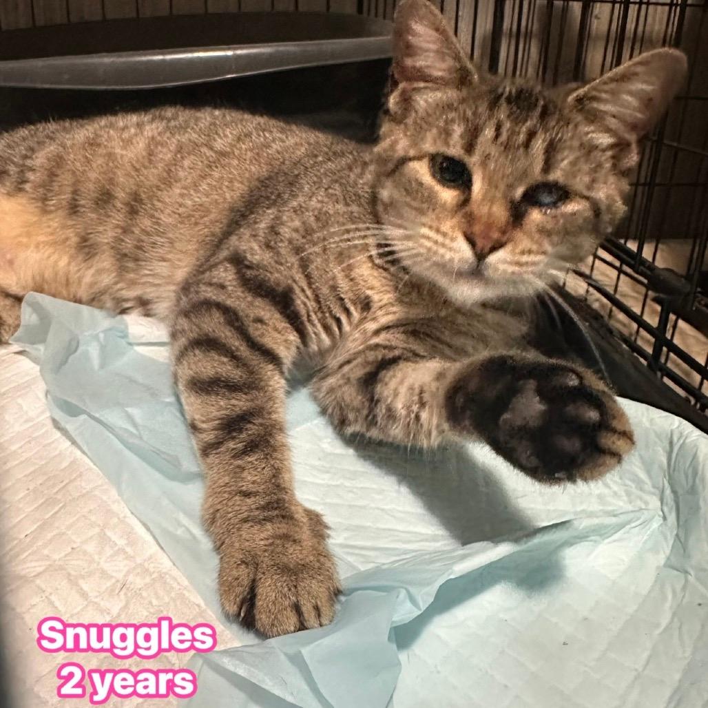 Snuggles