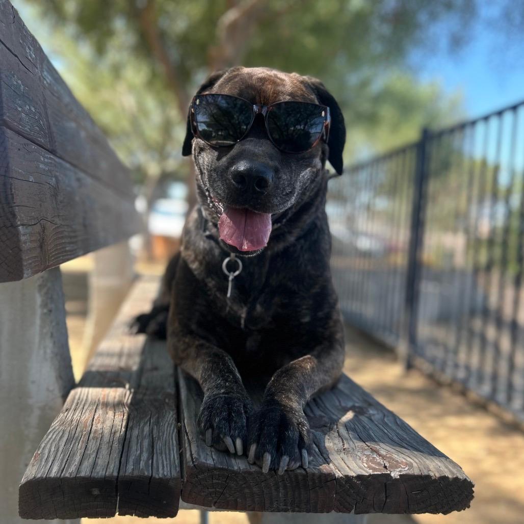 Betty