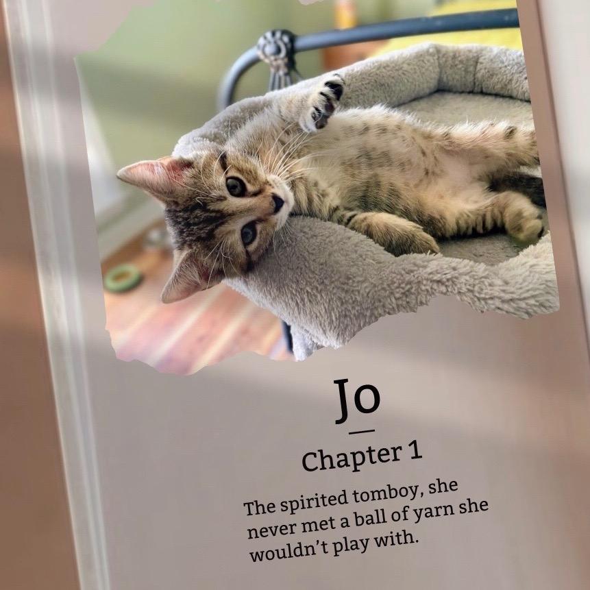 Jo