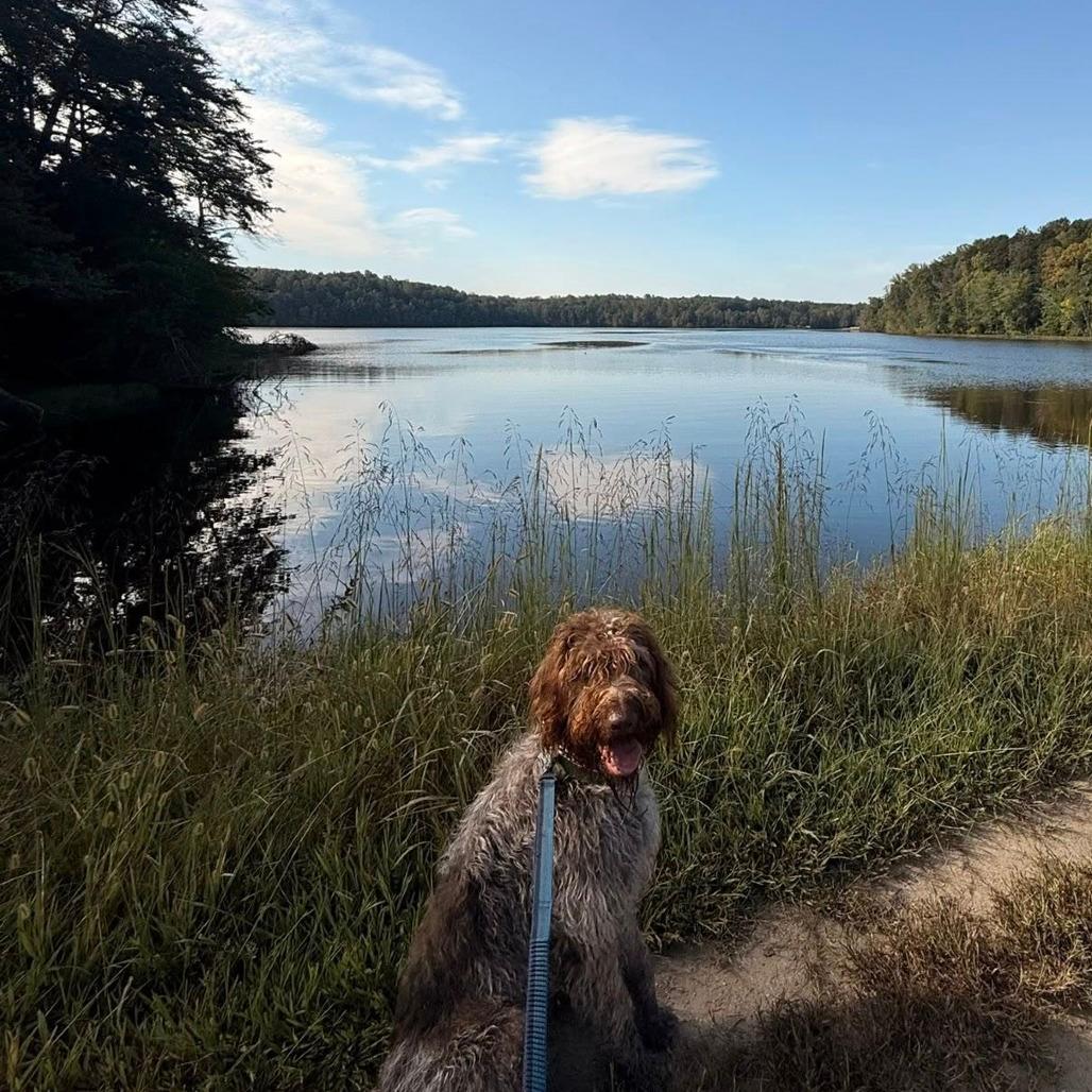 Jake (Winston-Salem, North Carolina)