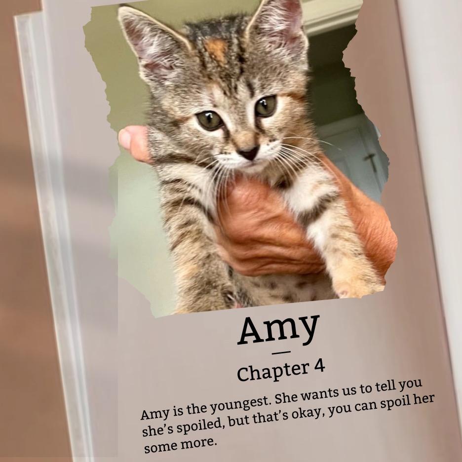 Amy