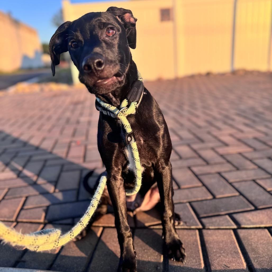 Duke