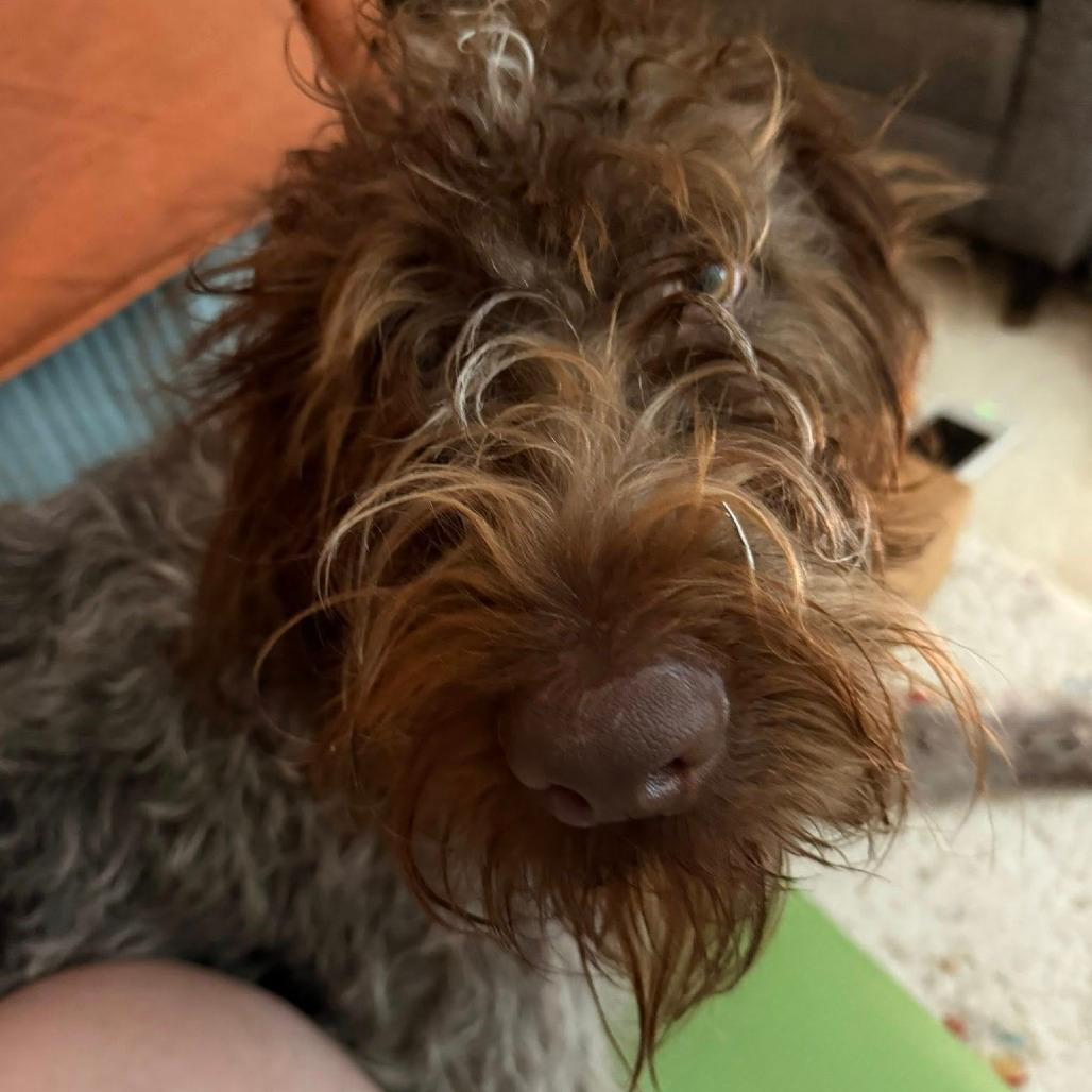 Jake (Winston-Salem, North Carolina)