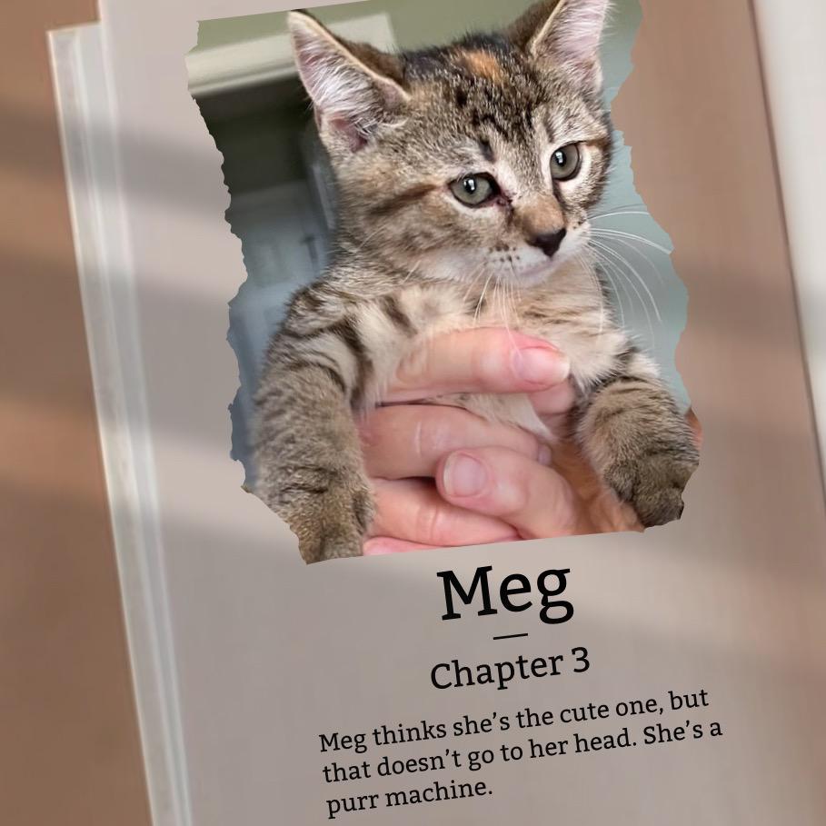 Meg