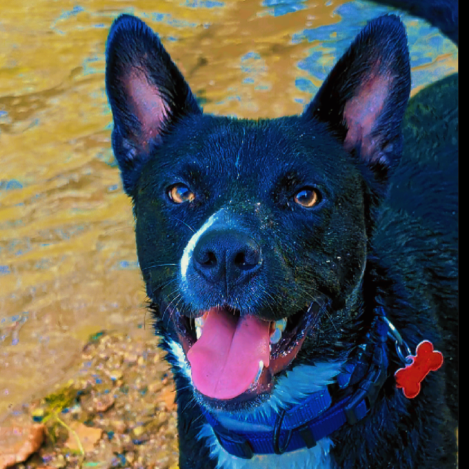 Diego