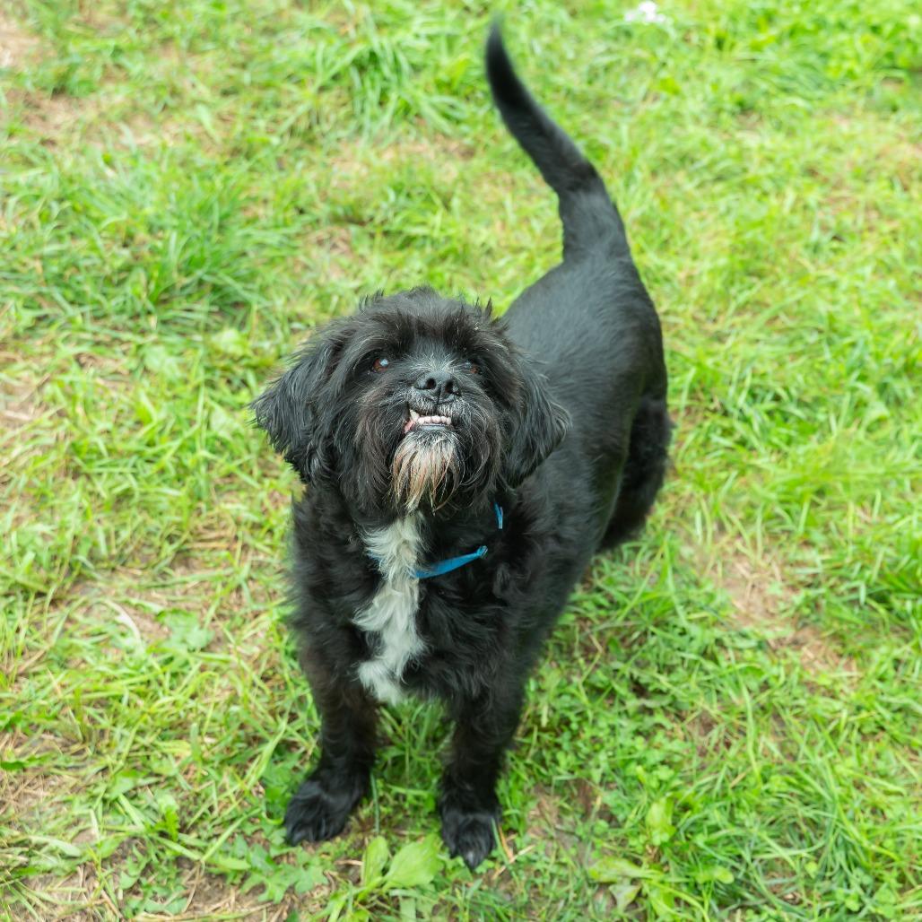 Tuffy (Bonded to Stubby)