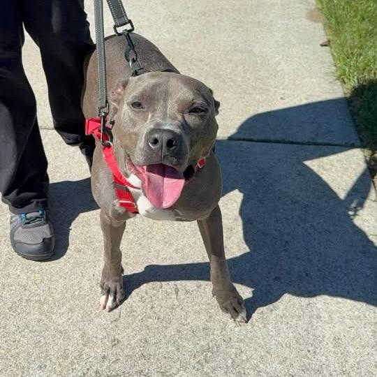 Spence aka Diesel