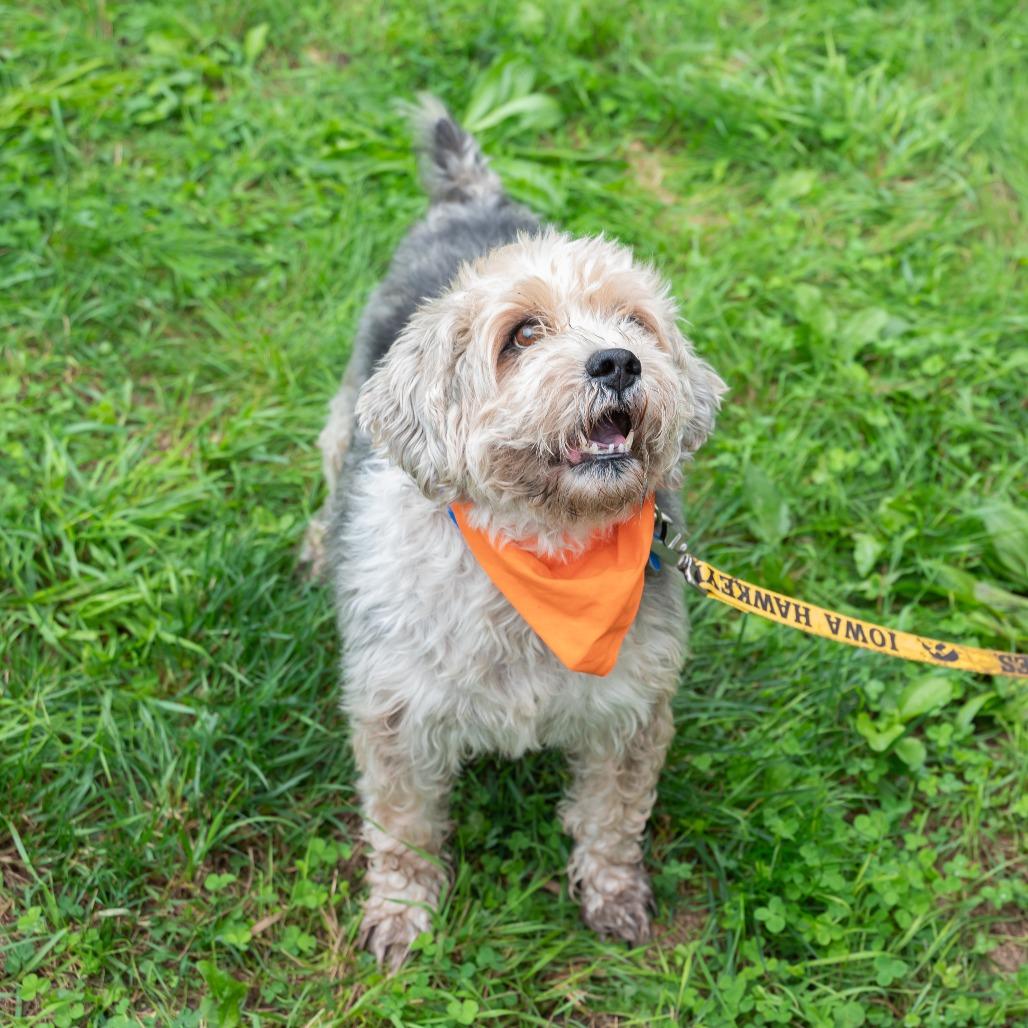 Stubby (Bonded to Tuffy)