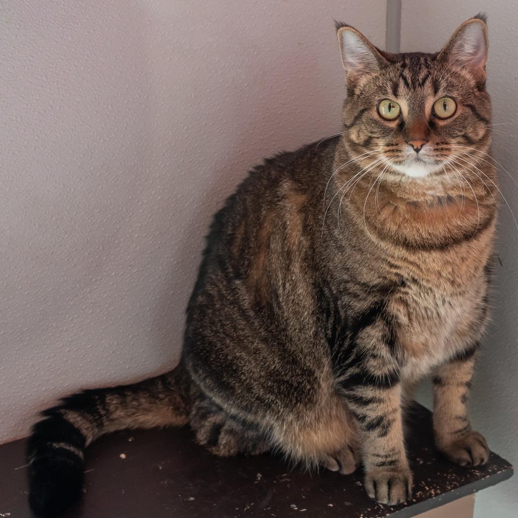 Bonnie(bonded to Clyde)