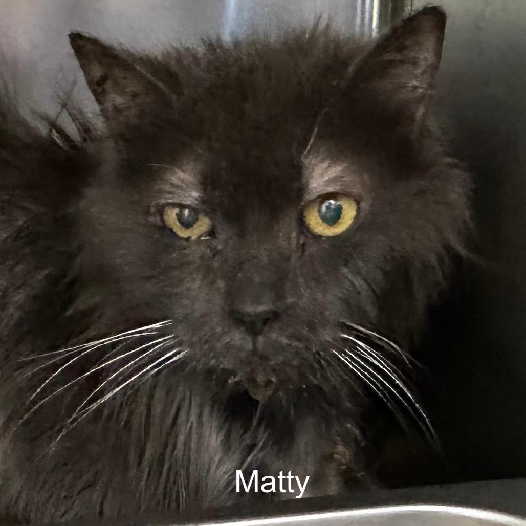 Matty