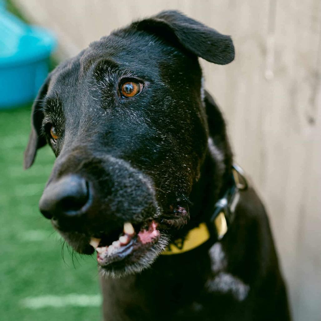 Jason (Reduced Rover) 