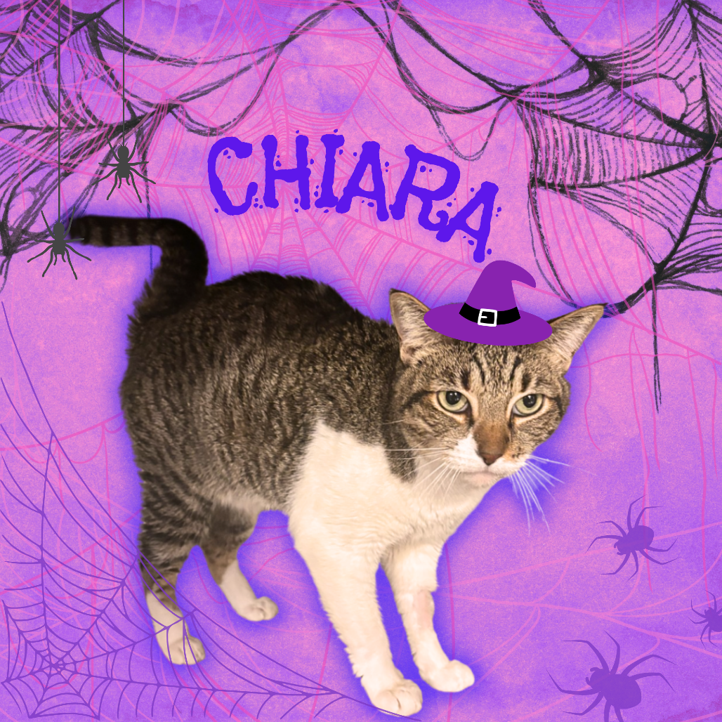 Chiara