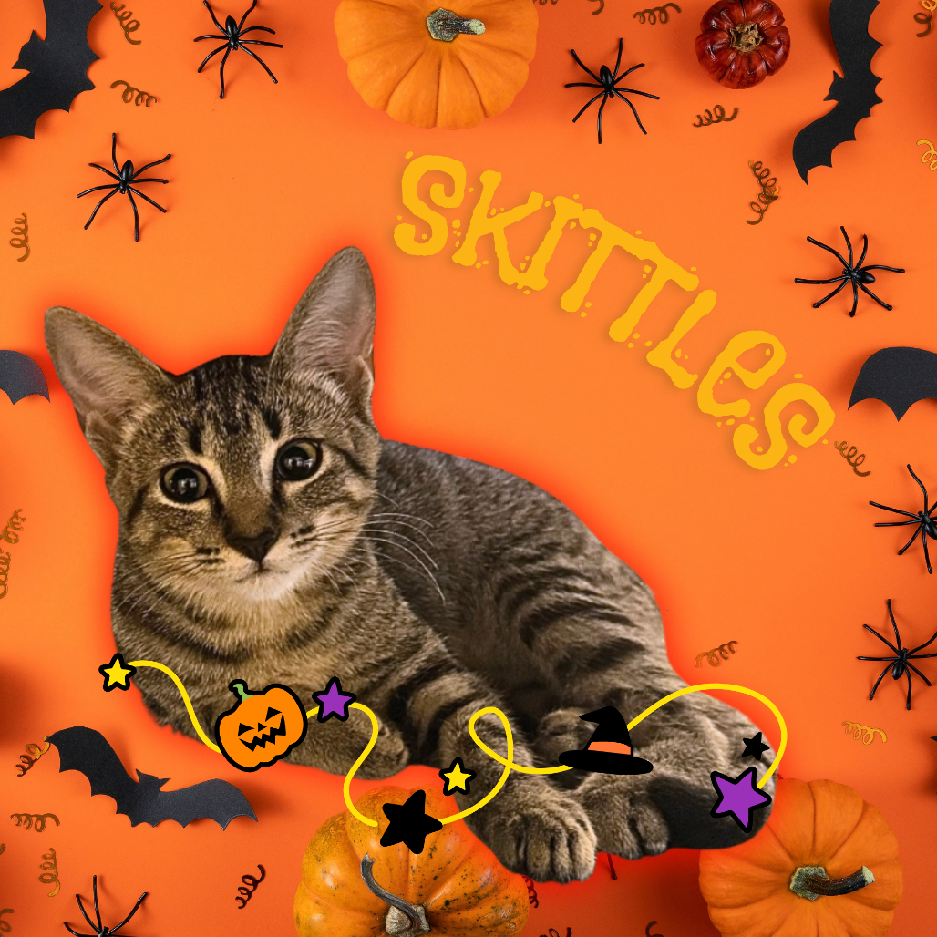 Skittles
