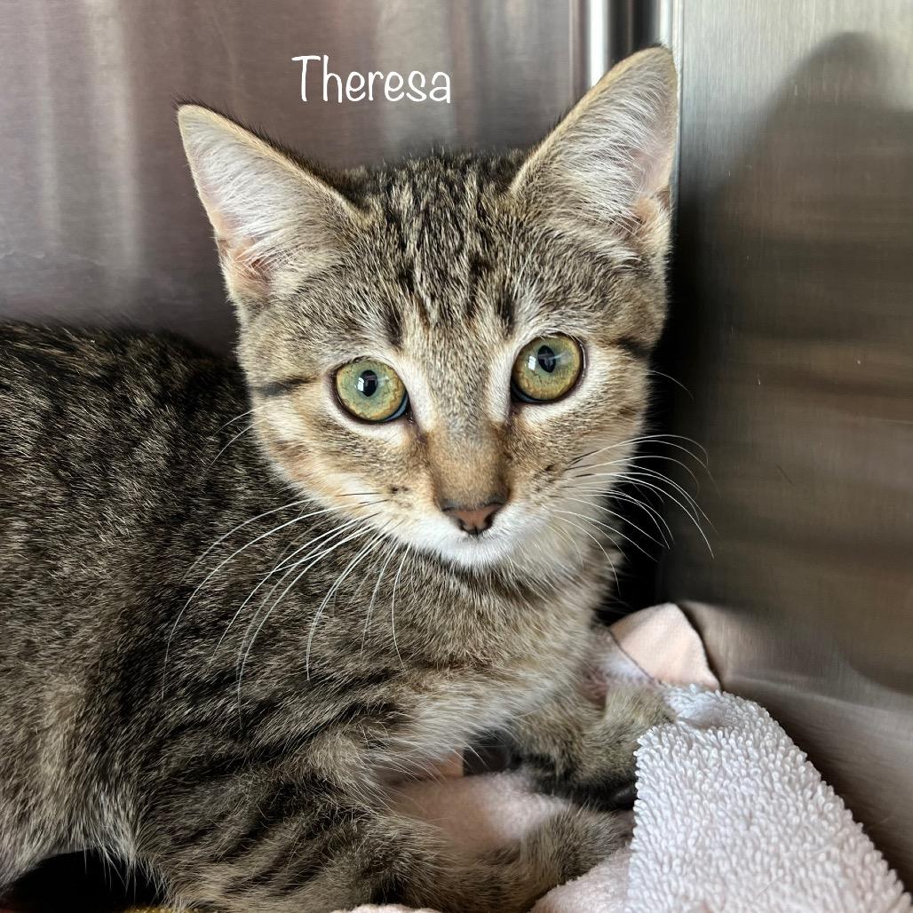 Theresa 