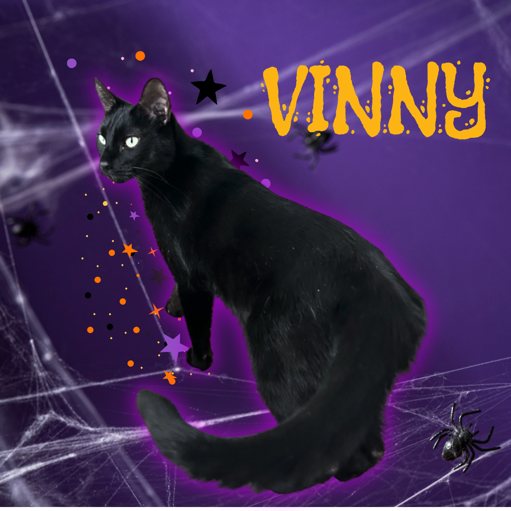 Vinny