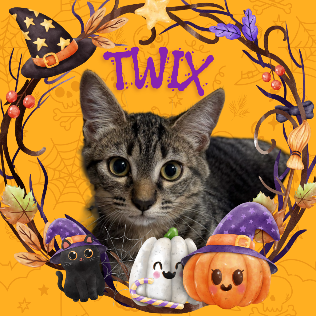 Twix