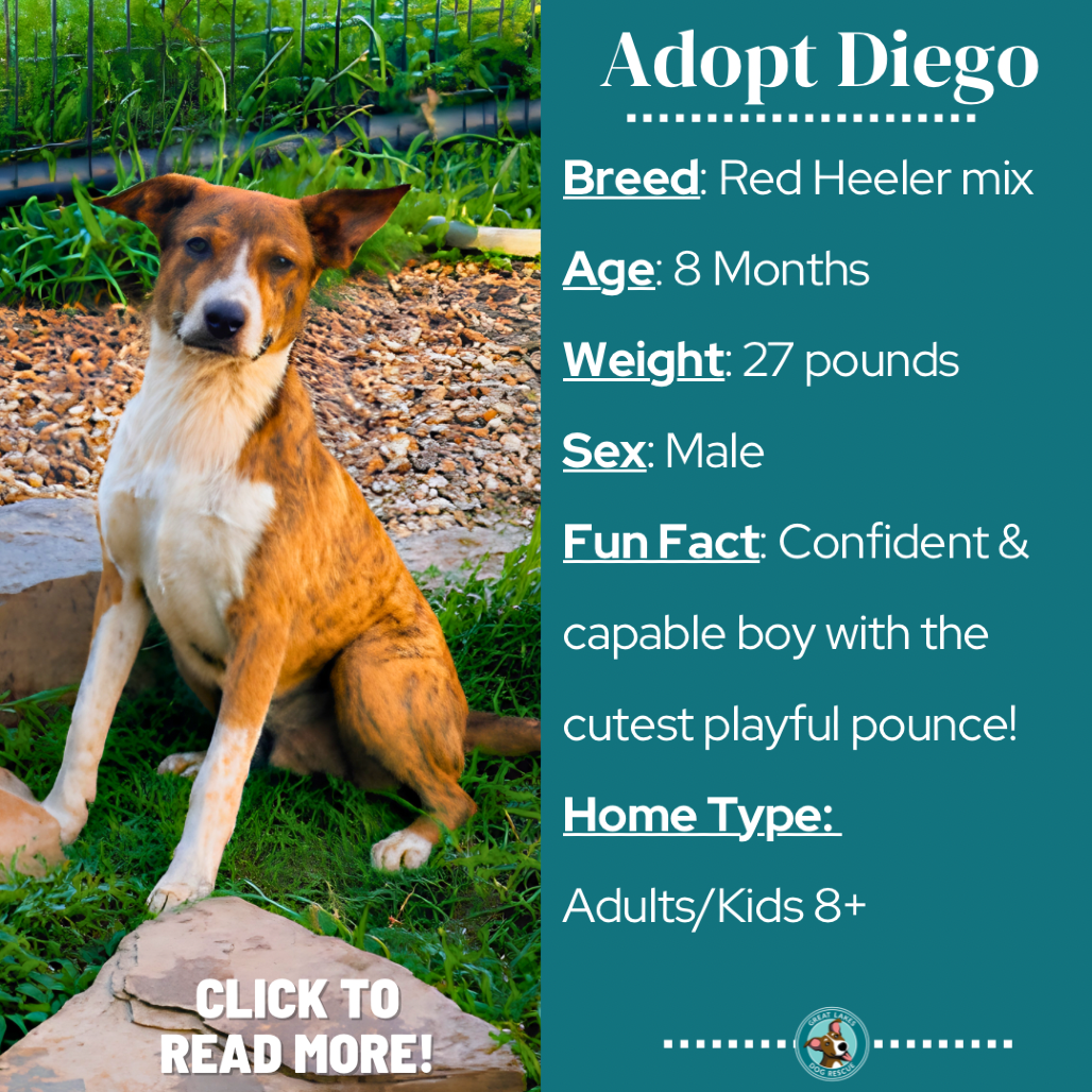 Diego