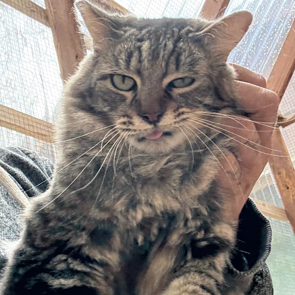 Bonnie 