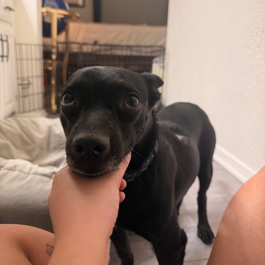 Jax