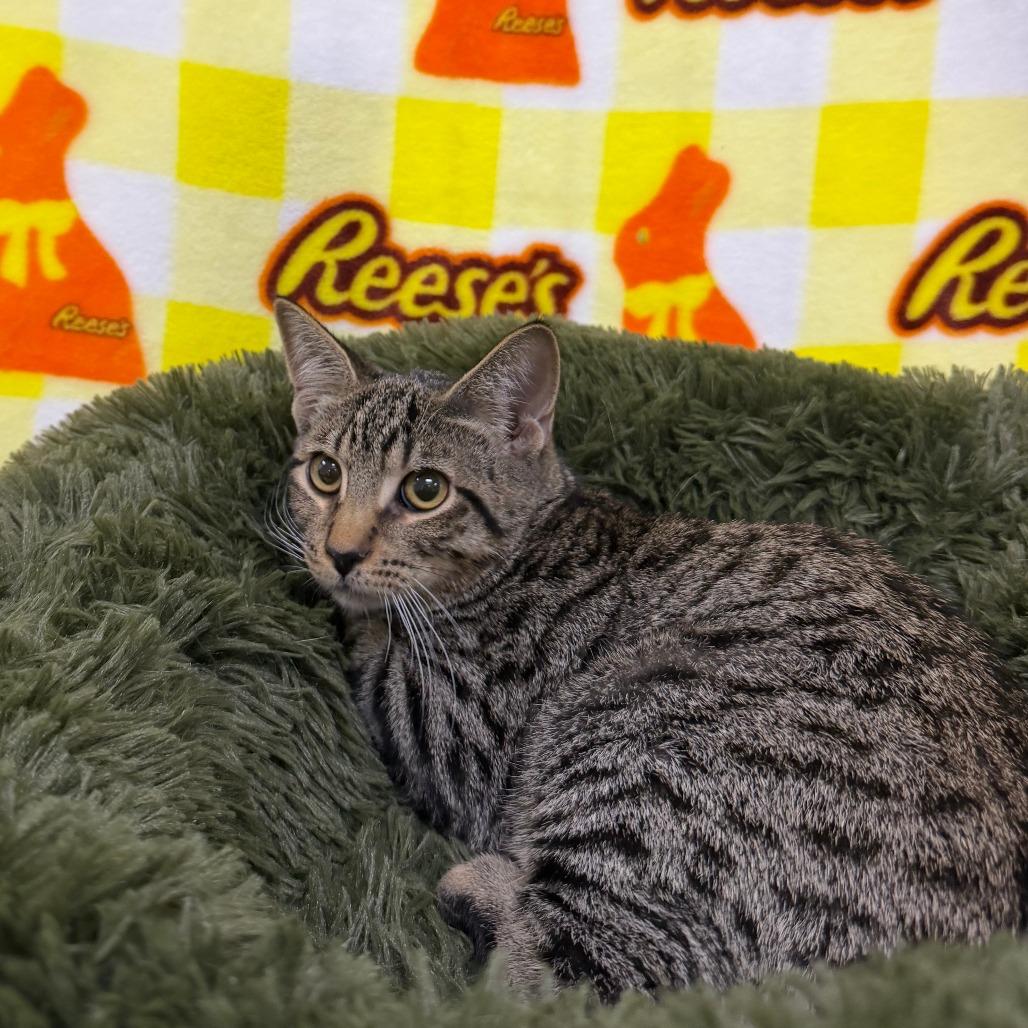 Sebastian