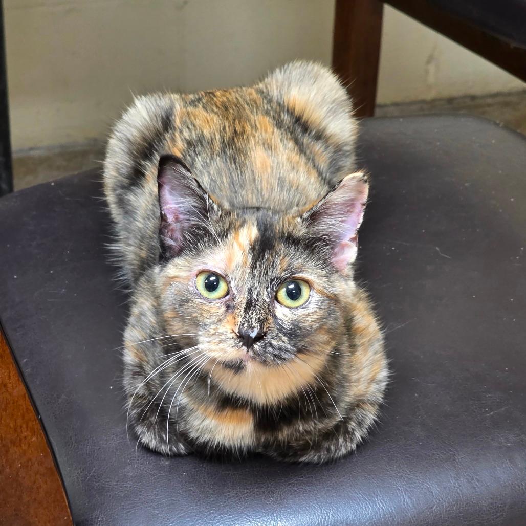 Matilda