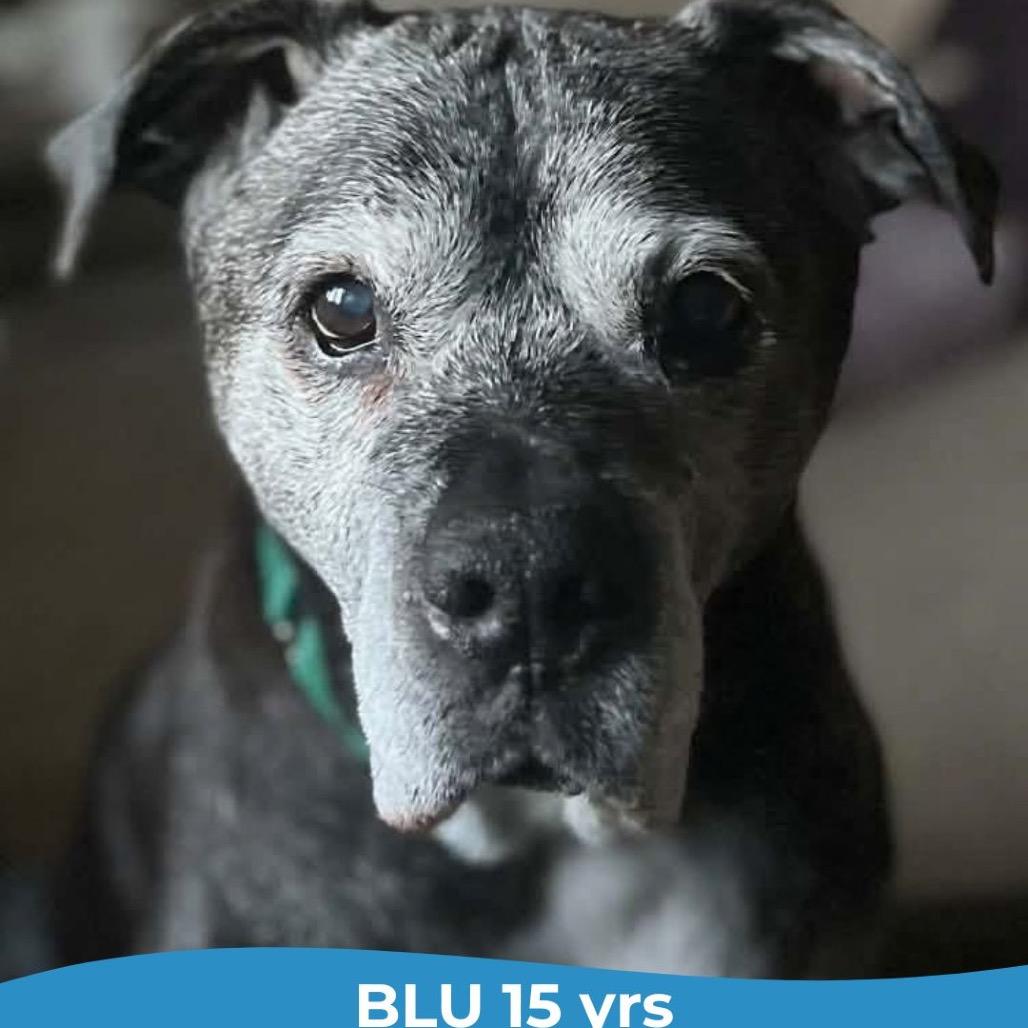 Blu
