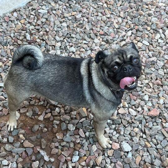 Coco