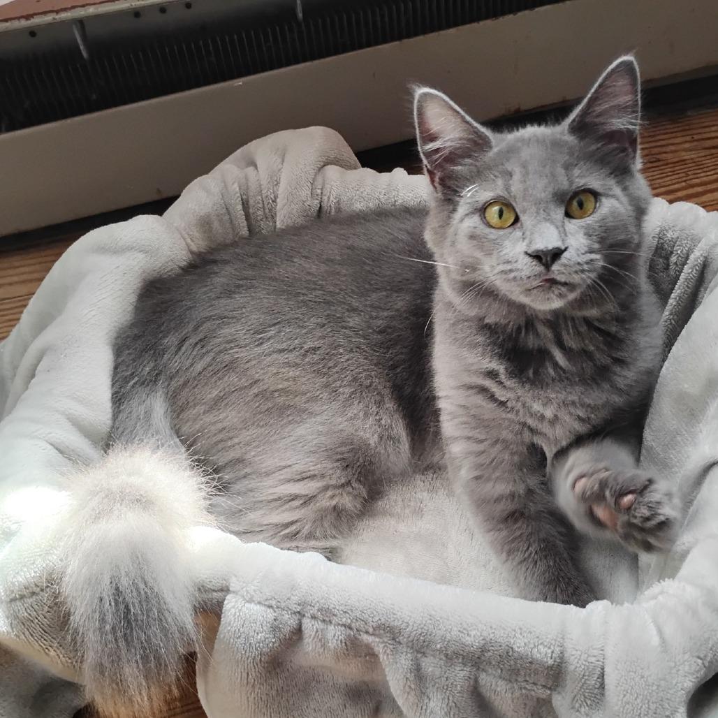 Barnabas
