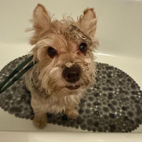 Charlie