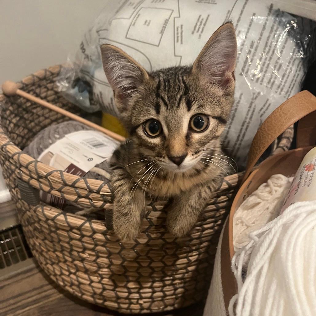 Gilligan