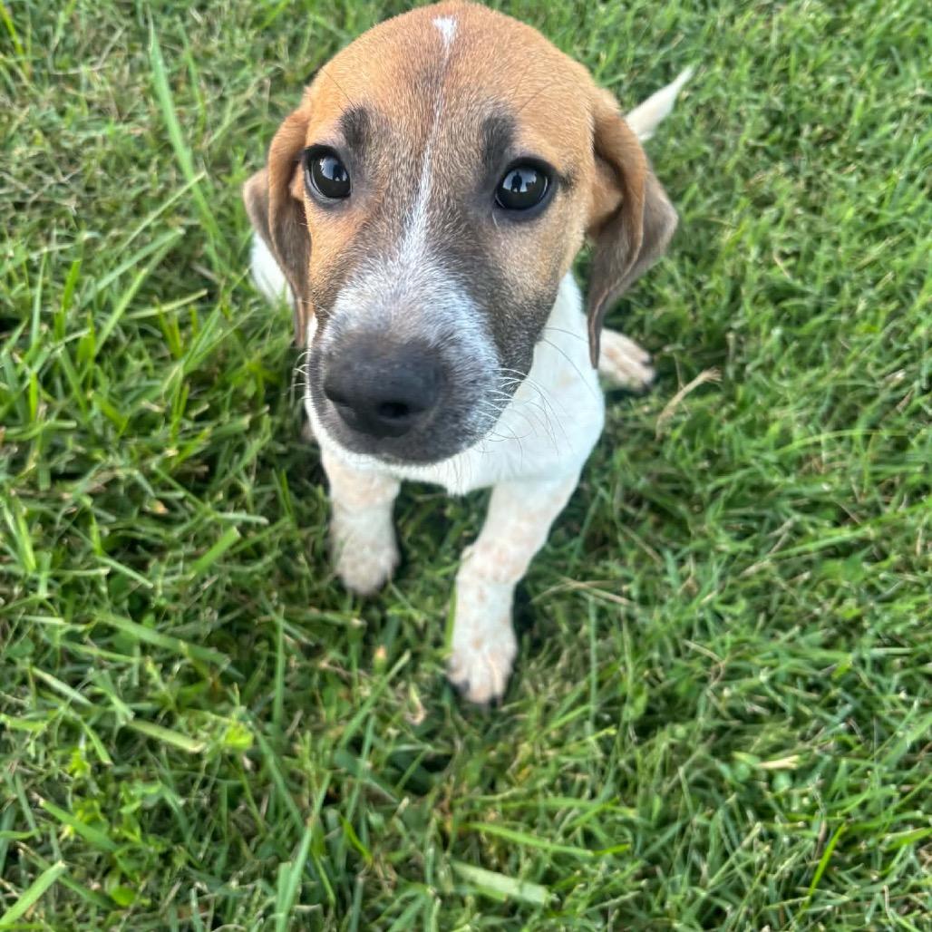 Lilah 
