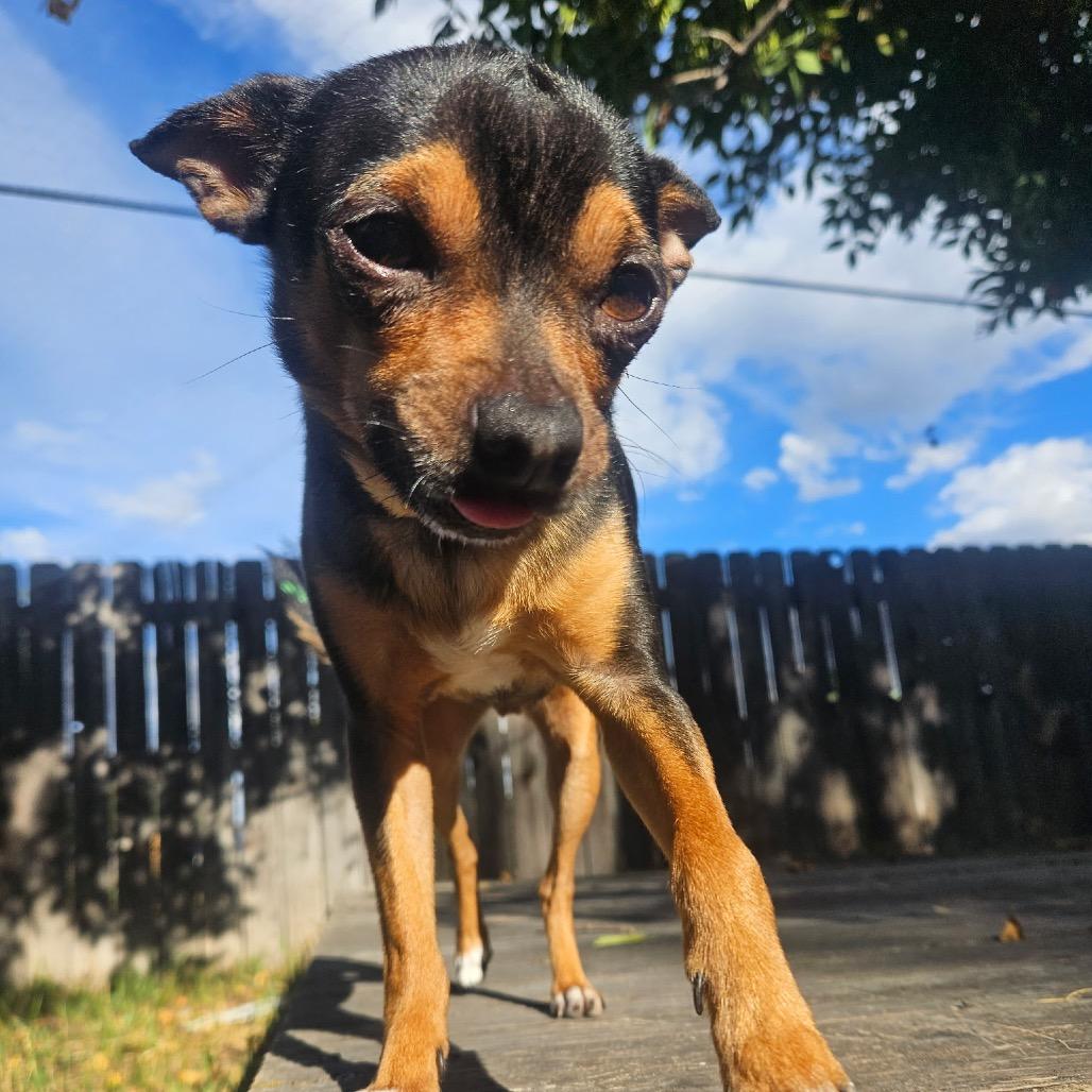 Archie