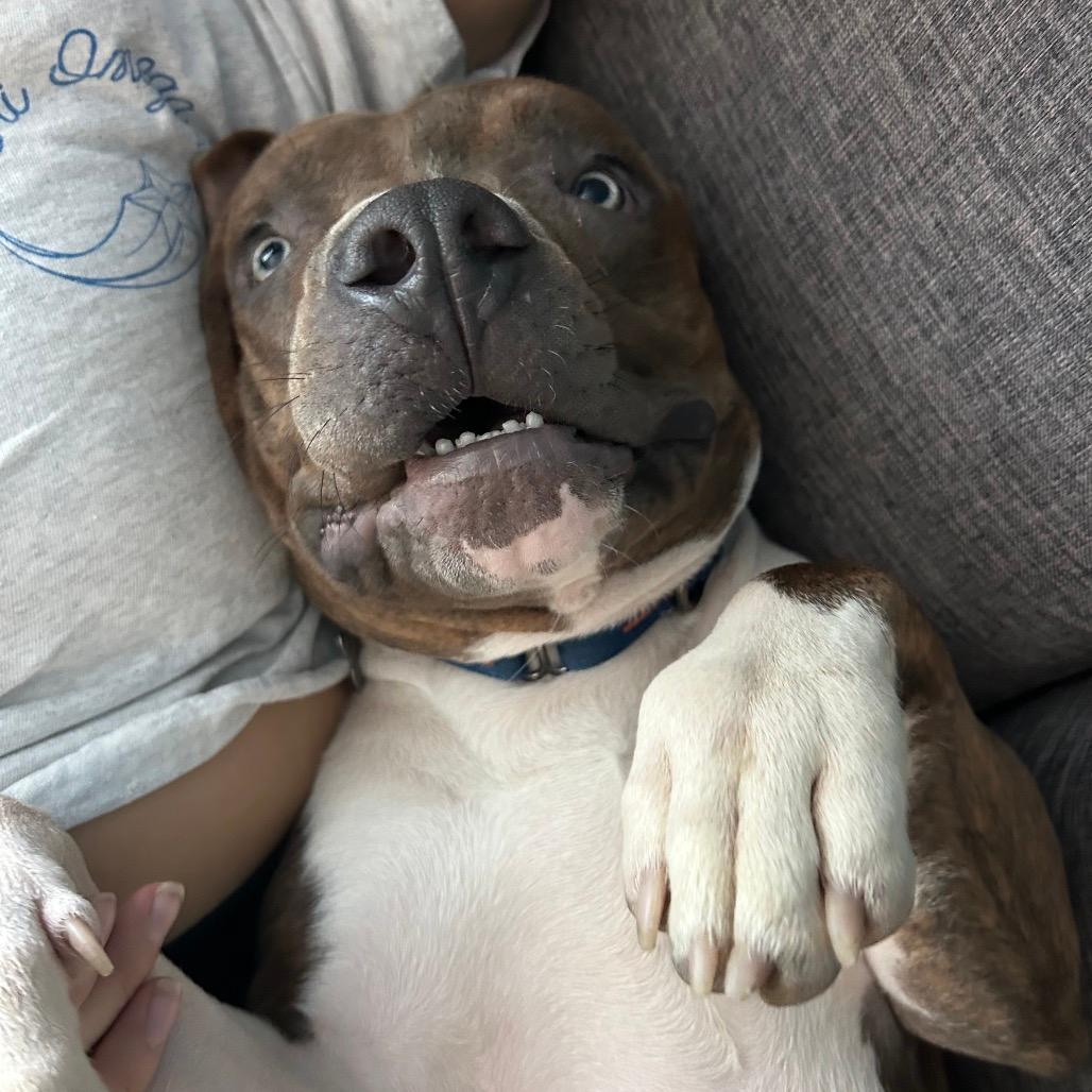 Tobias