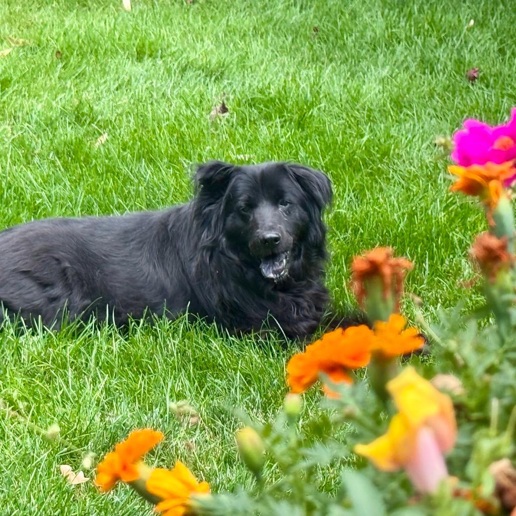 Sammy