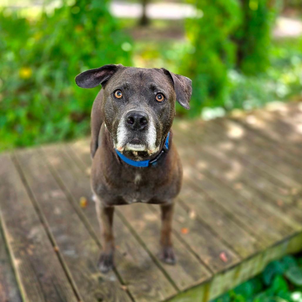Kali